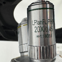 Fisherbrand Inverted Microscope image 2
